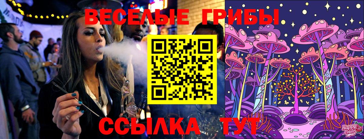 Псилоцибиновые грибы Psilocybe  Псилоцибиновые грибы ЛСД  Бирск  Вход с VPN 